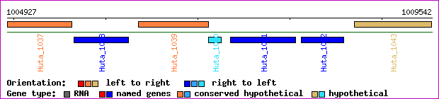 gene map
