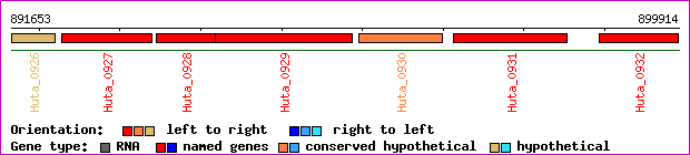 gene map