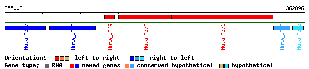 gene map