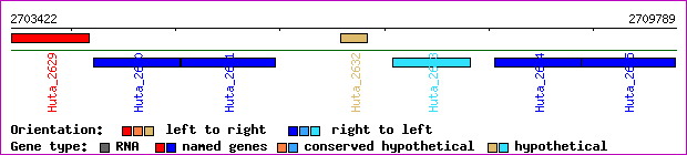 gene map