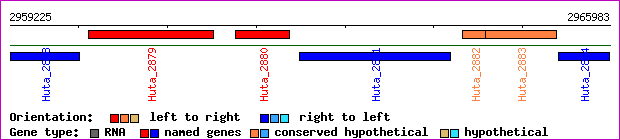 gene map