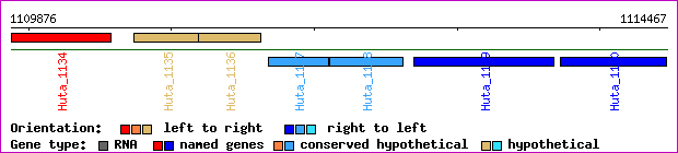 gene map
