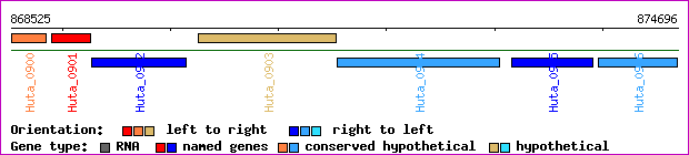 gene map
