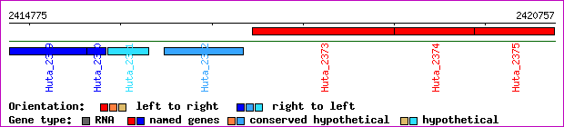 gene map