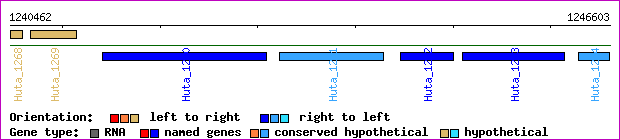 gene map