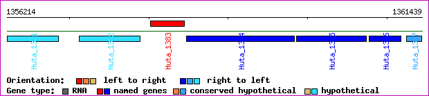 gene map