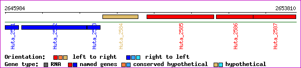 gene map