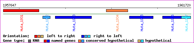 gene map
