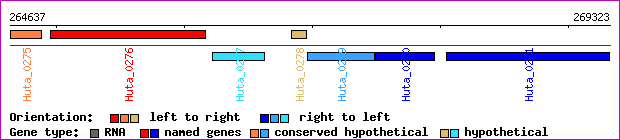 gene map