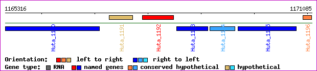 gene map