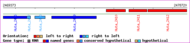 gene map
