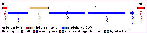 gene map