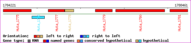 gene map