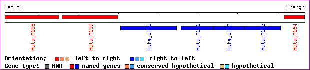 gene map