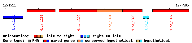 gene map