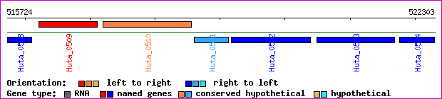 gene map