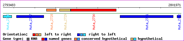 gene map