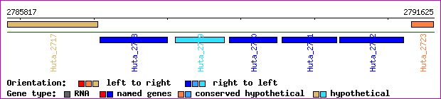 gene map