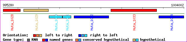 gene map