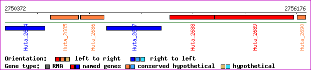 gene map