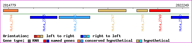 gene map