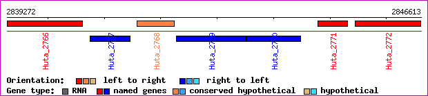 gene map