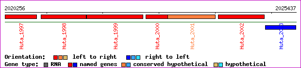 gene map
