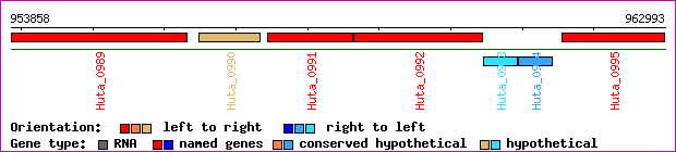 gene map