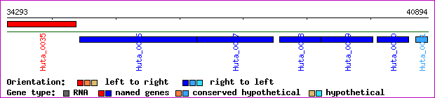 gene map