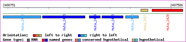 gene map