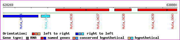 gene map