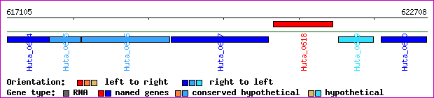 gene map