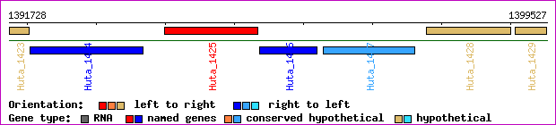 gene map