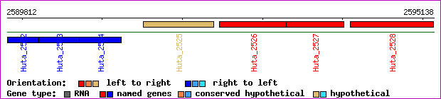 gene map