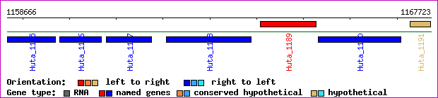 gene map