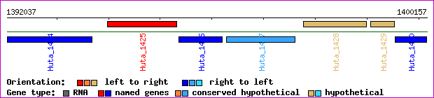 gene map