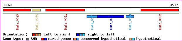 gene map