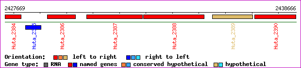 gene map