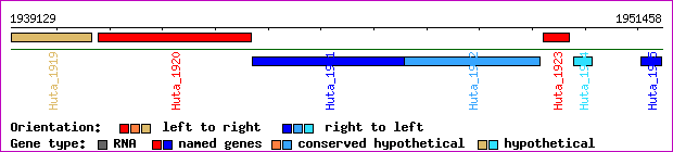 gene map