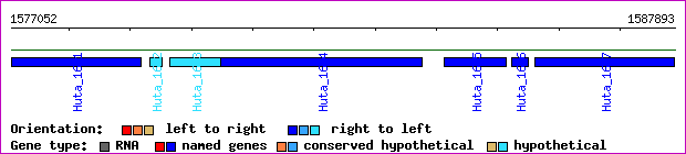 gene map