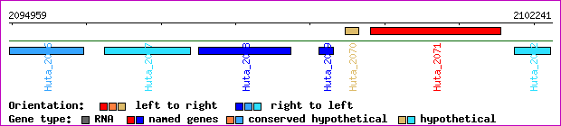 gene map
