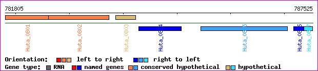 gene map