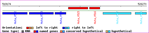 gene map