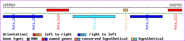 gene map