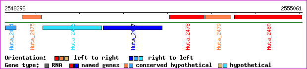 gene map