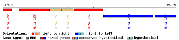 gene map