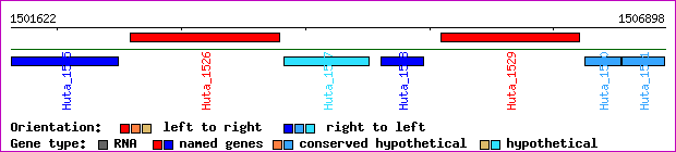 gene map