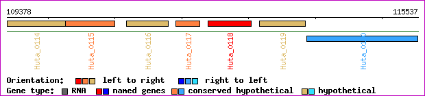 gene map