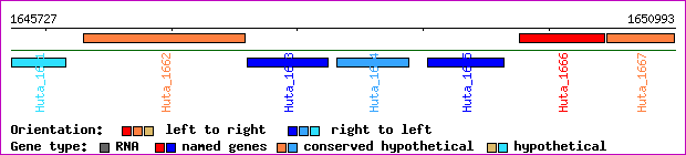 gene map
