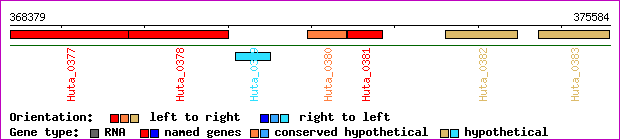 gene map